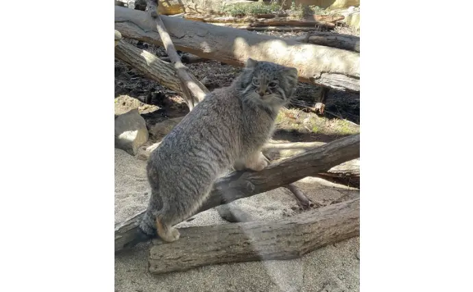 Amazing Dayで婚活した30代前半女性の画像3