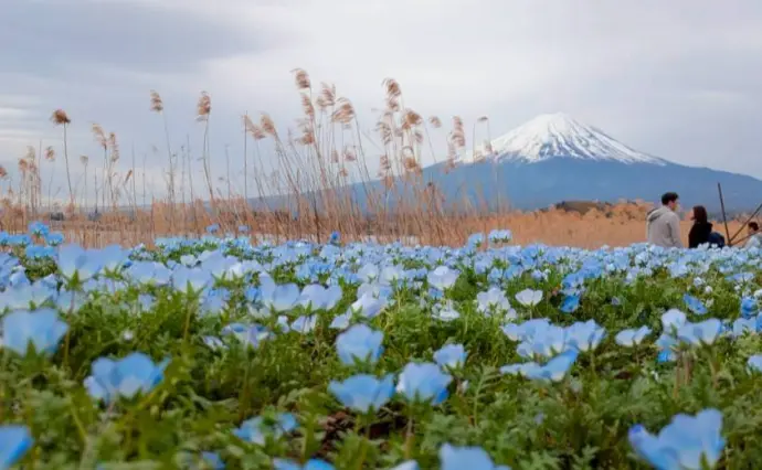 パピヨン結婚相談所で婚活した30代後半女性の画像2