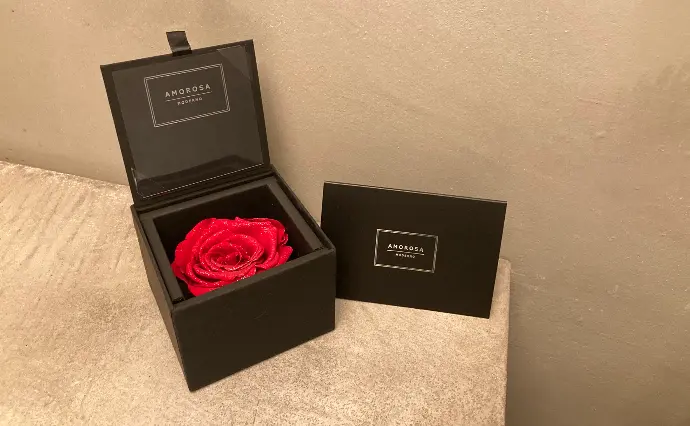 Salon de L'avenir ラヴニール東京で婚活した30代後半女性の画像4