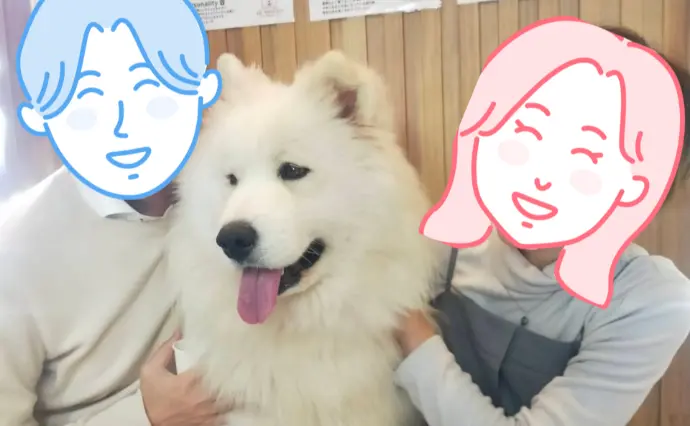 品川たまむすび結婚Lab.で婚活した20代後半女性の画像3