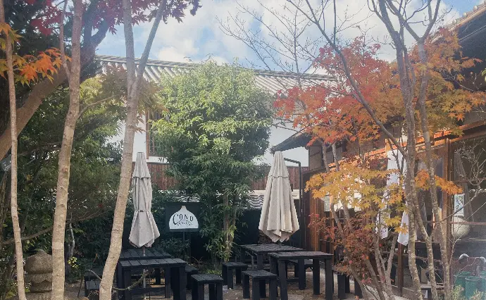 結婚相談所チアーズ広島で婚活した30代前半女性の画像3
