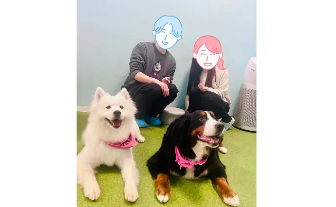 logica plus　(ロジカプラス）で婚活した30代前半女性の画像3