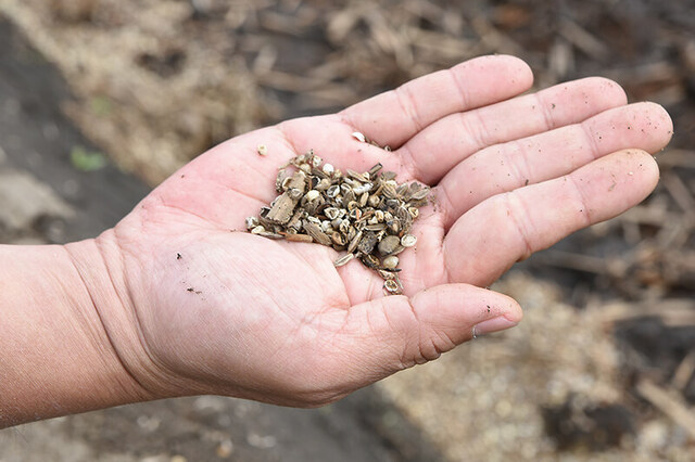 海にプラスチックごみを垂れ流す肥料を全面規制せよ