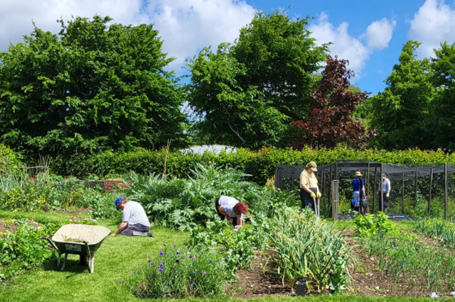 「日本型ケアファーム」を知っていますか