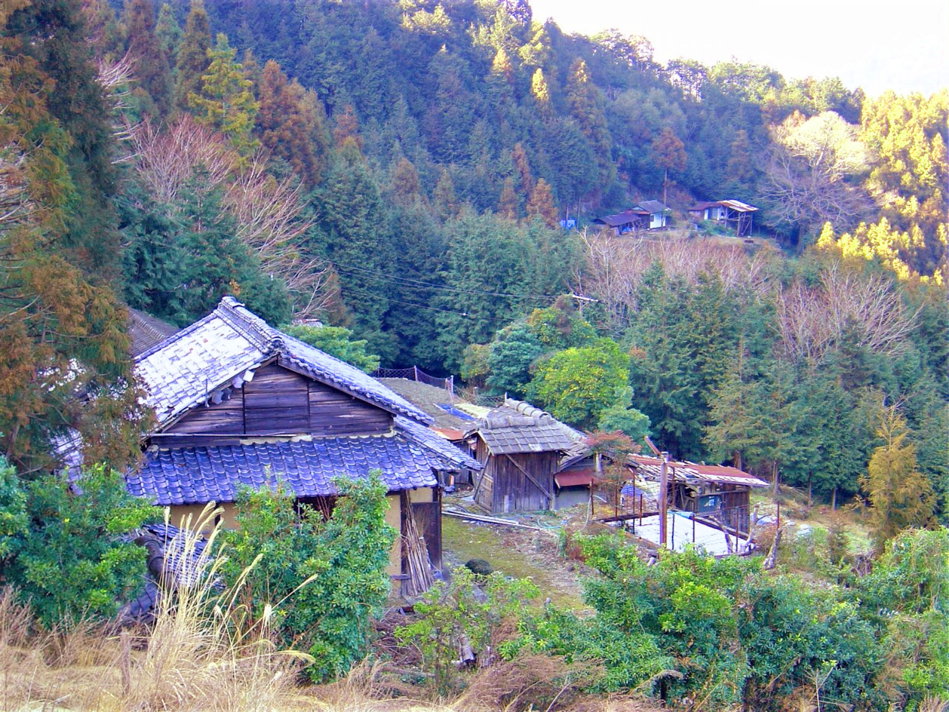 ​貧しさという幻想：敗北主義の勝ち逃げの道