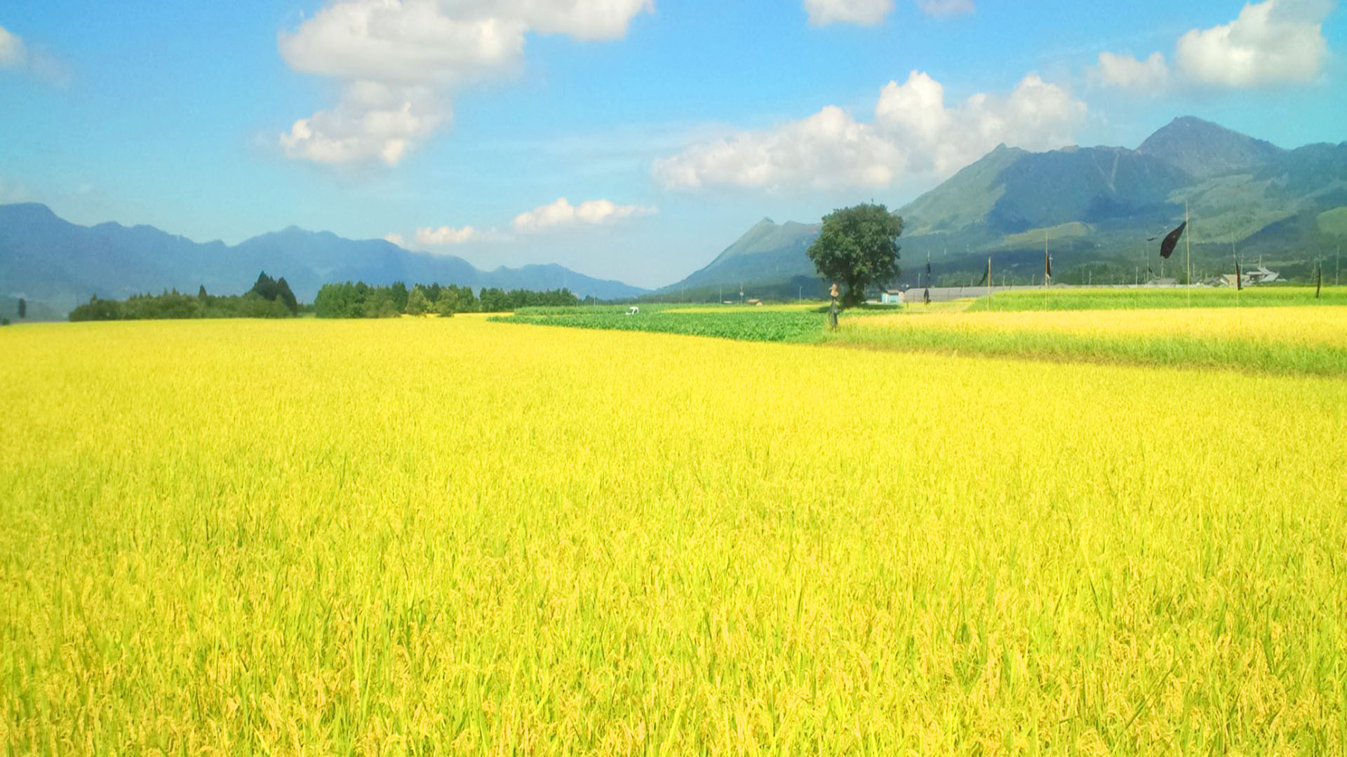 農業は百年の計：片野学先生の話