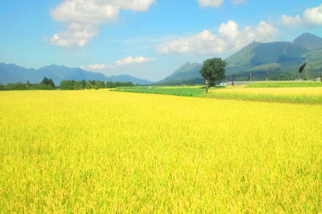 農業は百年の計：片野学先生の話