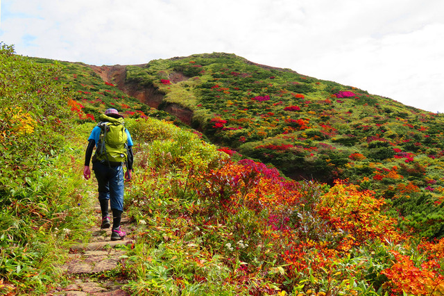情報産業と資本脆弱化