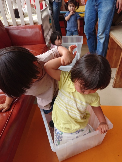 15609487375370.jpg