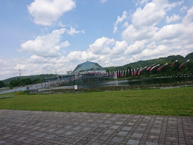 2019061912282800.jpg