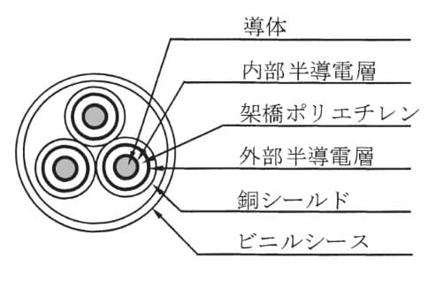 回答選択肢の画像