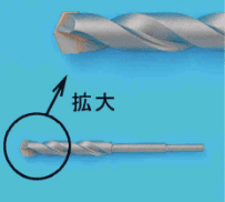 回答選択肢の画像