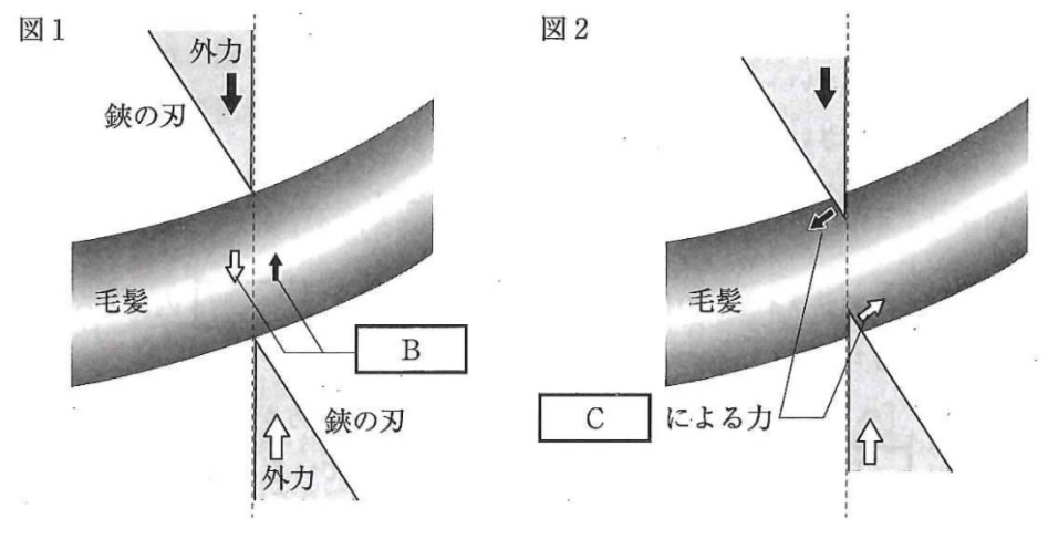 問題文の画像