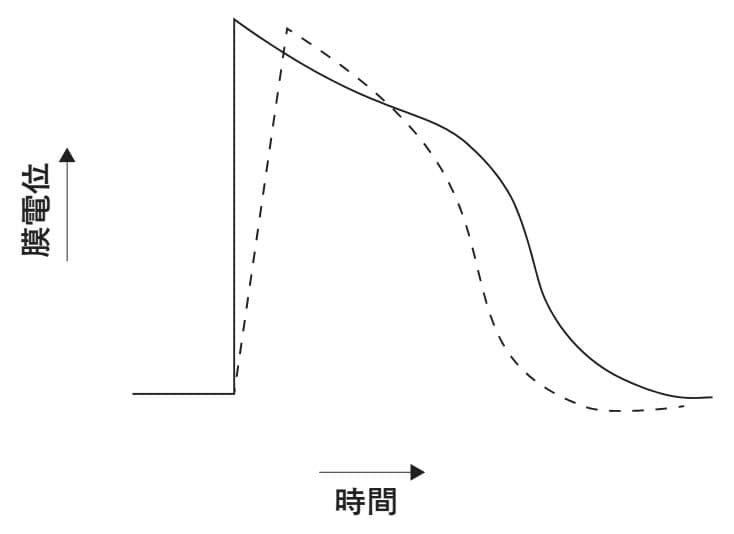 問題文の画像