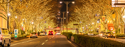 東京・表参道