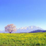 府中のおばちゃまのユーザー画像