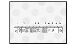 607本場「九種九牌」