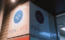 【麻雀王国掲載店舗紹介】健康まーじゃん ポンカフェ