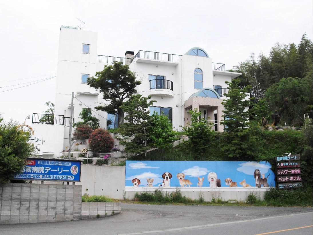 熊本県 菊池市 動物病院デーリー