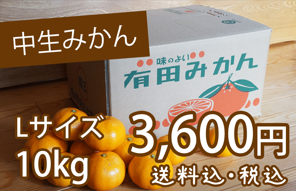 中生みかん Lサイズ 10kg 3 600円 有田みかんの有田ファーム