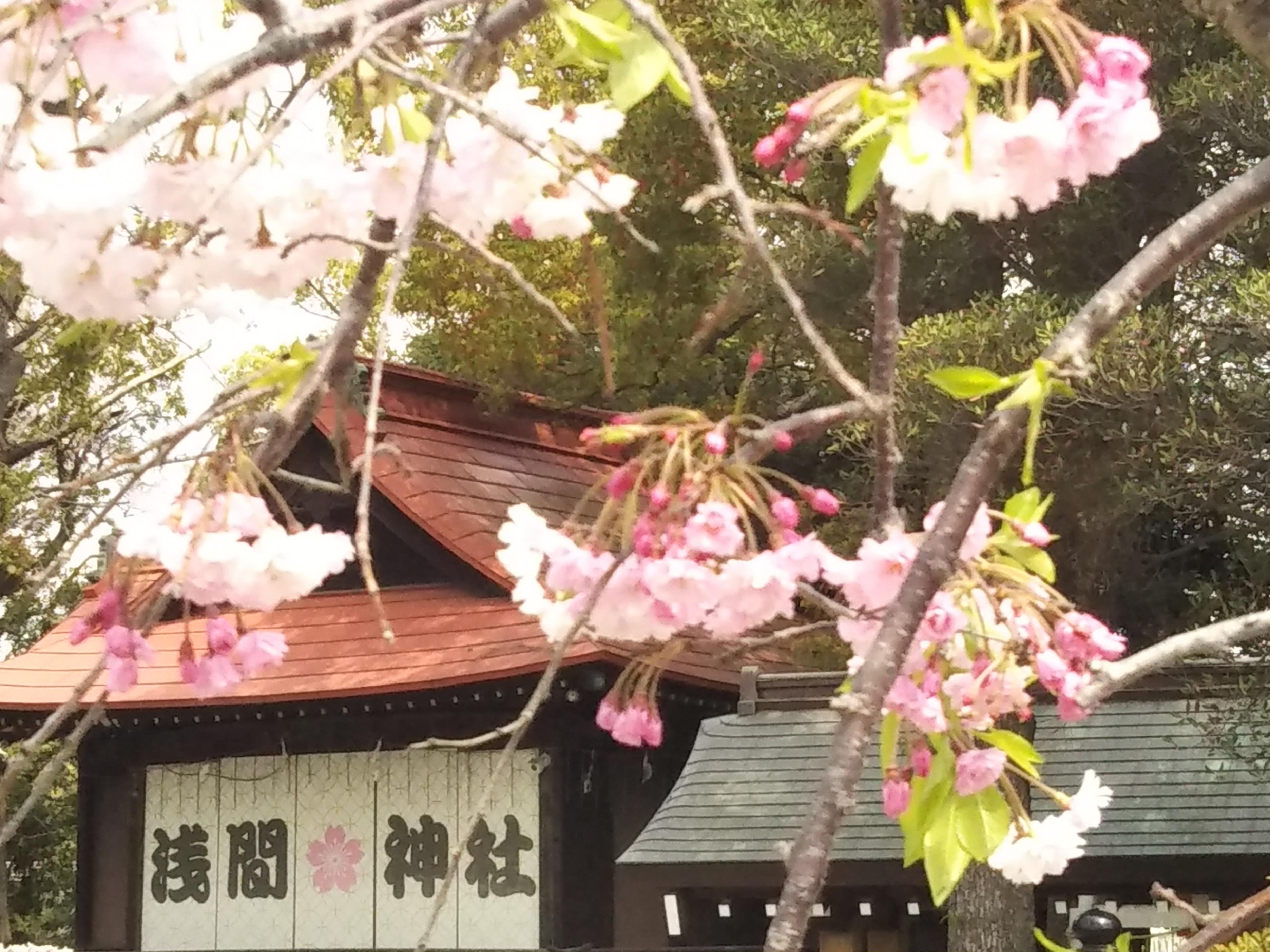 田園調布