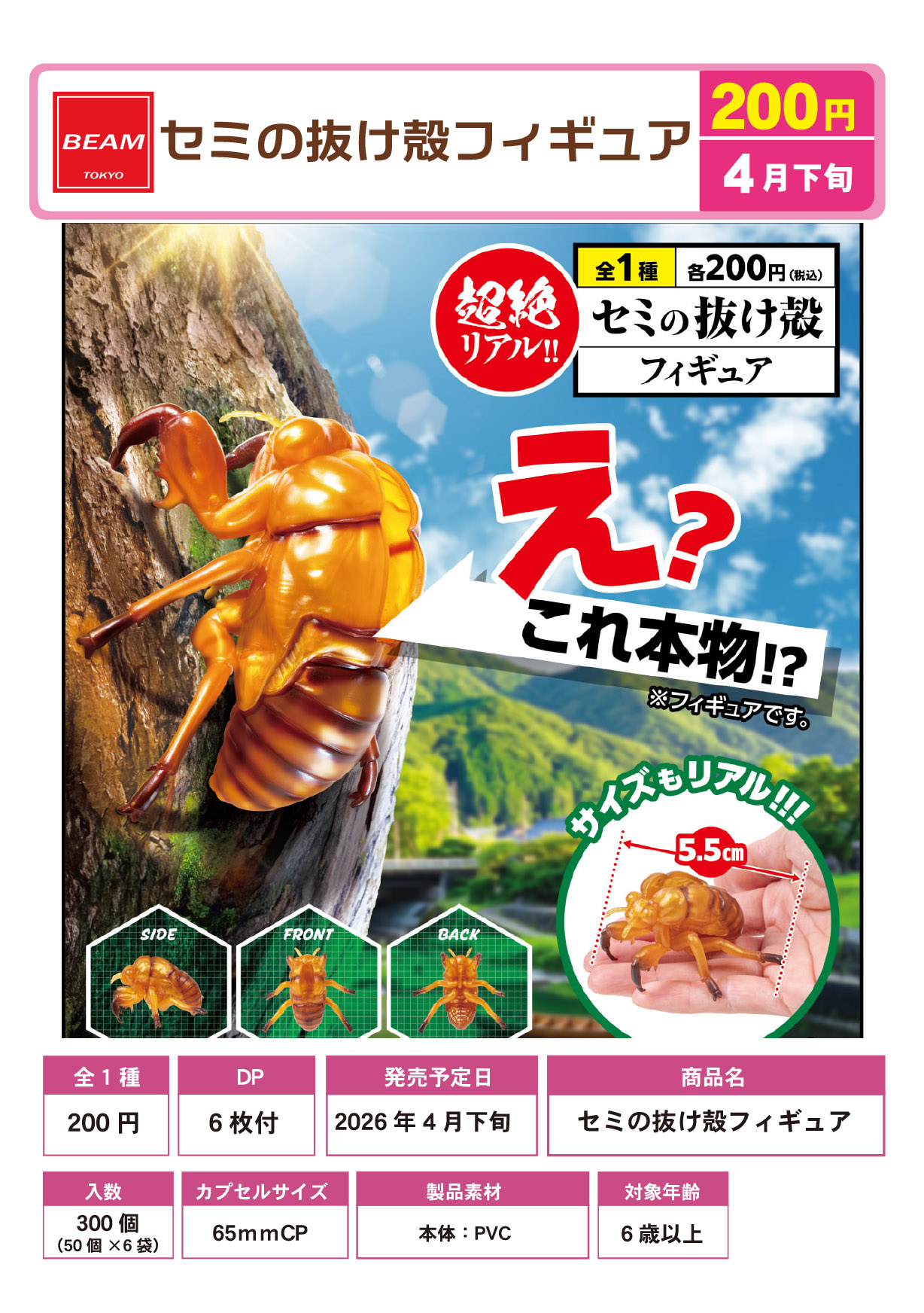 セミの抜け殻フィギュア