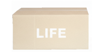 Mサイズ箱 画像