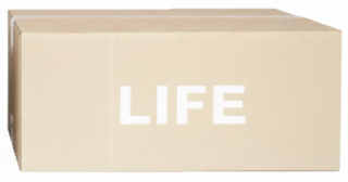 Lサイズ箱 画像