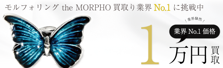 モルフォリング the MORPHO