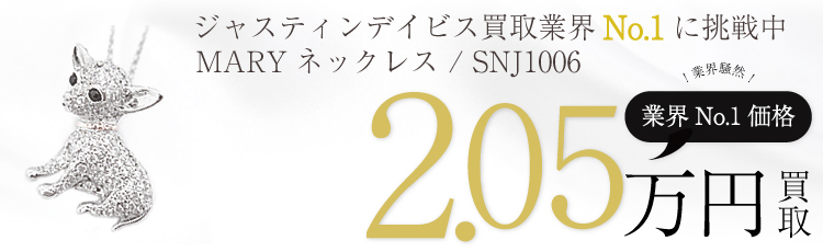 MARY マリーネックレス / 清春コラボモデル / SNJ1006 7万買取