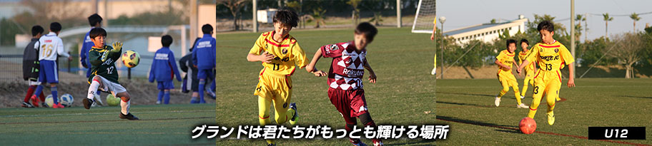 Forte Fc 2年生 H25年度