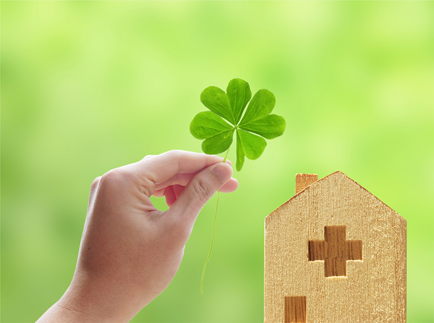 四葉のクローバー写真