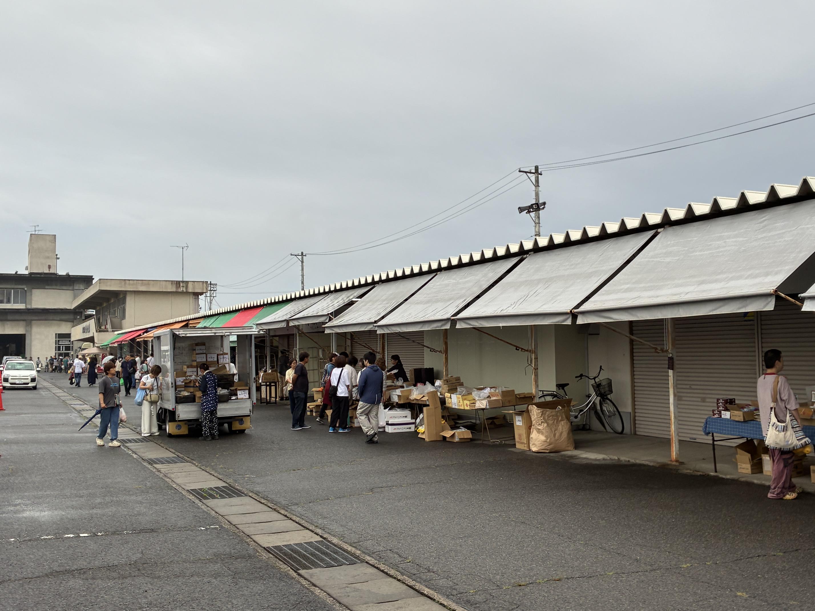 写真1