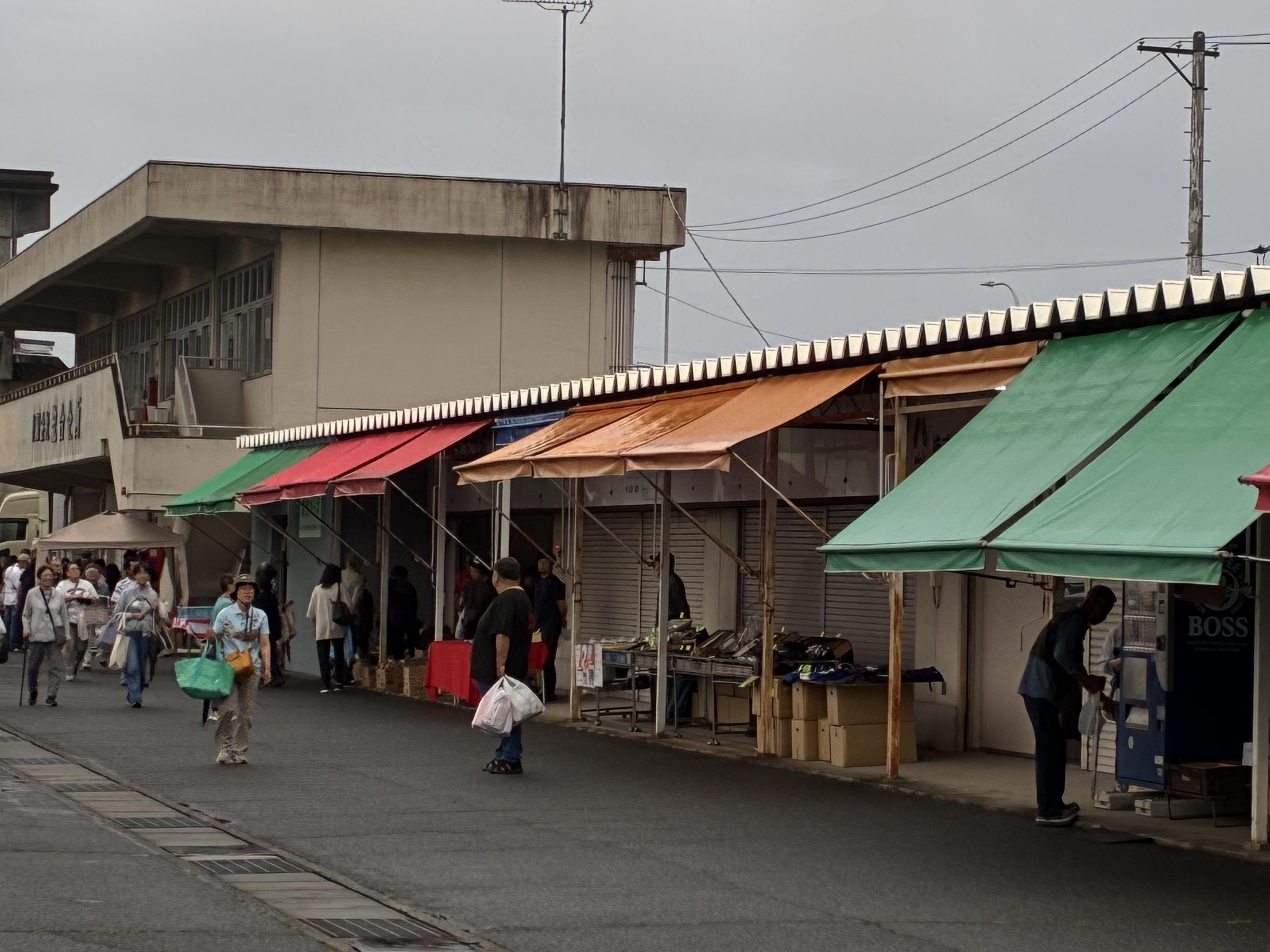 写真1