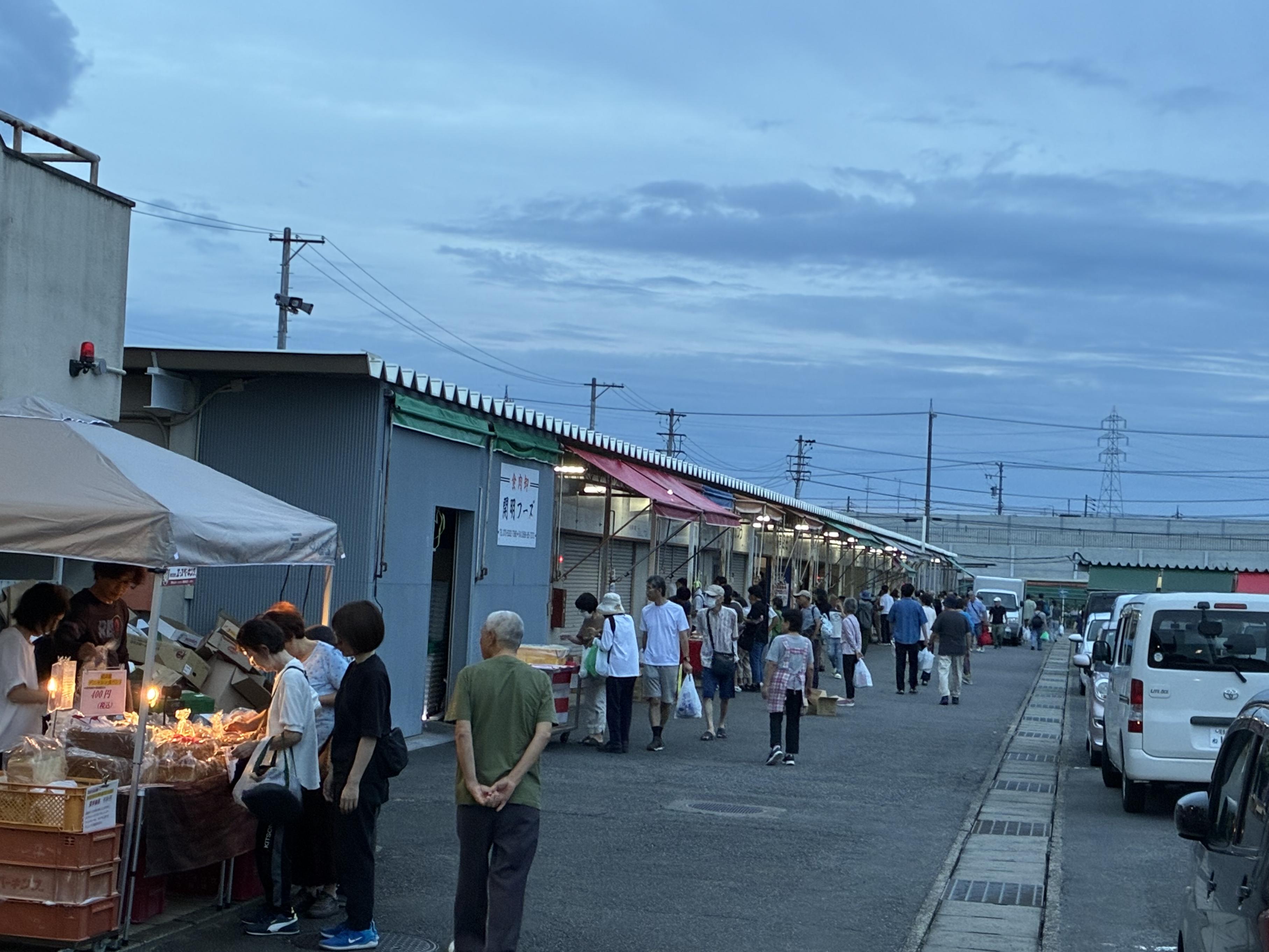 写真1