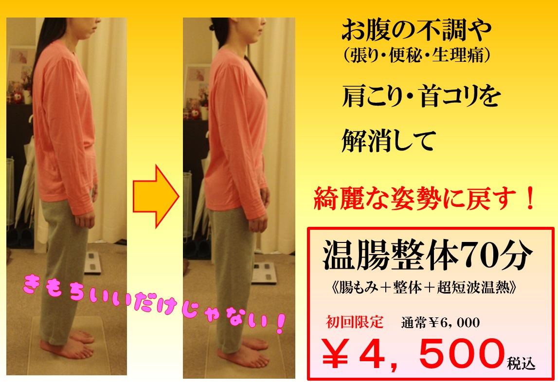 施術コース案内 料金 新宿南口腸もみと温腸セラピーthcソレイユ