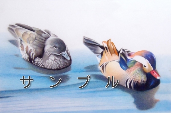 色鉛筆画ネット販売 色鉛筆画ネット販売