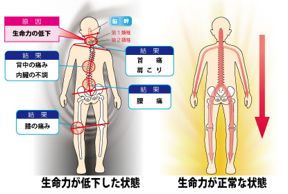 経堂自然整体院 施術内容 脳幹セラピー 上部頸椎調整療法