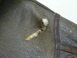 革が破れて裂けたリアルムートンコートの革破れ修理 東京都杉並区