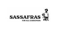 ササフラス(SASSAFRAS)のアイテムは全てを強化買取! 画像