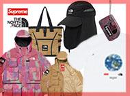 ノースフェイス シュプリーム 画像