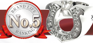 T-H.S RING ホースシューリング13号 シルバー&ストーン