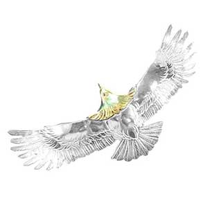 ケンキクチ 頭金イーグルトップ画像