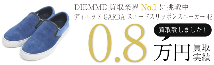 ディエッメ カメレオン2