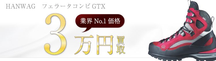 ハンワグ　フェラータコンビGTX　高額査定中