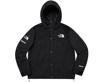 ノースフェイス 19SS Arc Logo Mountain Parka画像