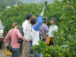 どっちの料理ショー撮影風景2