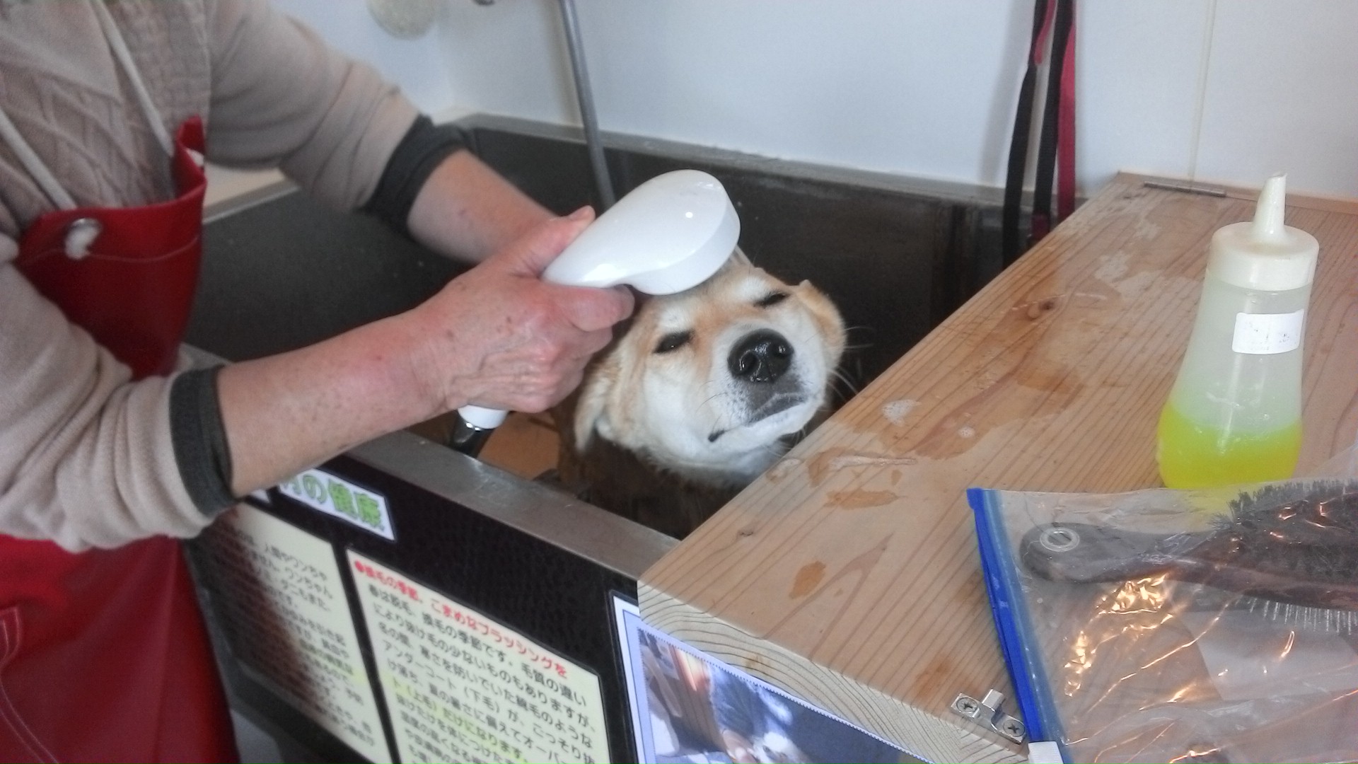 わんこのセルフシャンプールーム わんこのセルフシャンプールーム