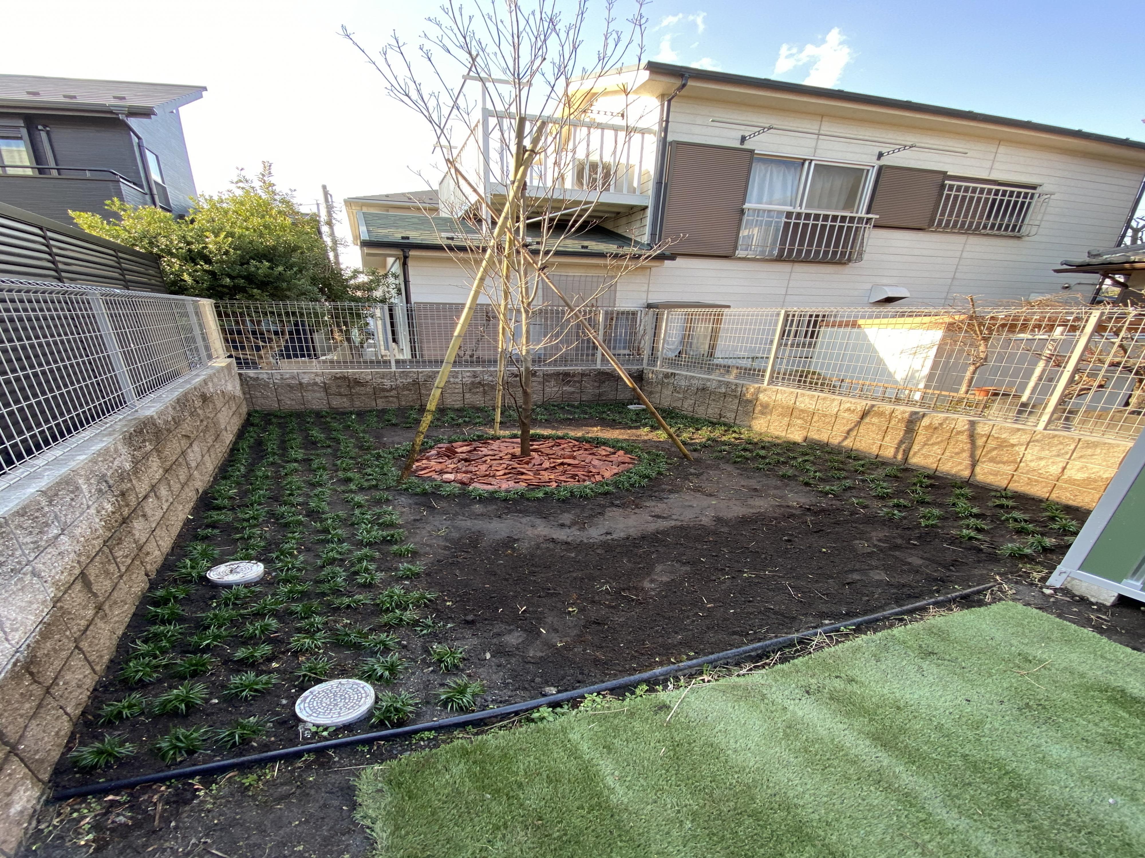植木のことなら恵み造園へ