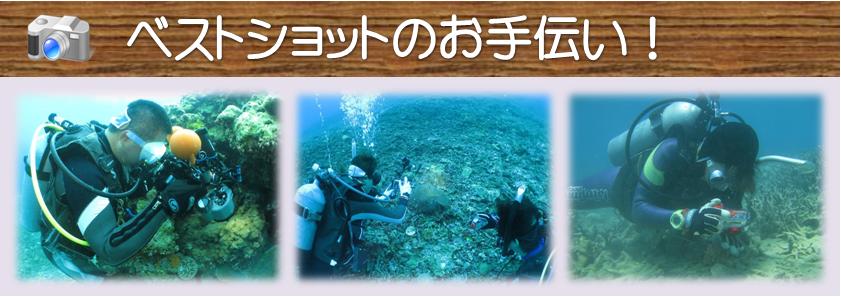デジカメ・カメラ派ダイバー